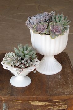 two white vases filled with succulents on top of a wooden table