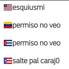 three different languages in spanish and english on a white background with the words'pesismo no veo permiso no veo '