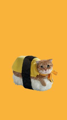 a cat is dressed up like a sushi with a yellow sash on its back