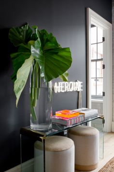 a glass table with books and a plant on it