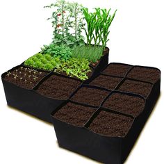 an assortment of plants are growing in the soil trays on top of each other