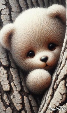 a brown teddy bear peeking out from behind a tree