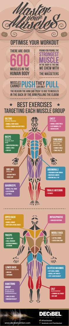 an info sheet with different types of people in the body and their names on it