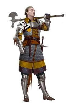 a man dressed in armor holding two swords