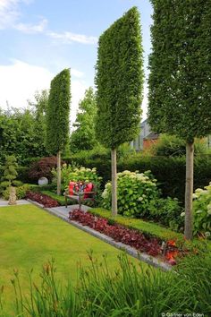 an outdoor garden with many trees and flowers