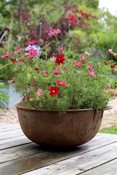 a potted plant with pink and red flowers sitting on a wooden table in a garden