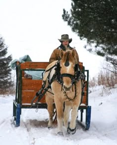 a man riding on the back of a horse drawn sleigh in the snow