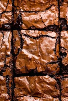 some brownies that have been cut into squares