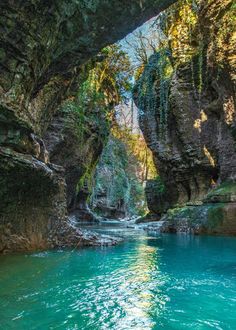 a river flowing under a bridge next to a lush green forest