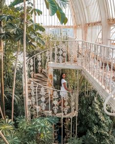 a woman standing on the top of a spiral staircase in a tropical setting with greenery