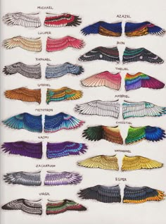 an image of different types of wings in the shape of birds and their wingspans