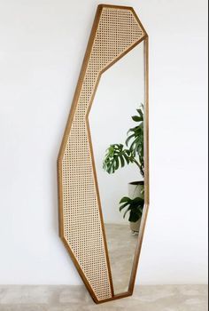 a mirror that is on the wall next to a potted plant