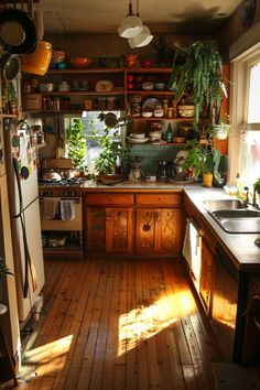 a kitchen with wooden floors and lots of plants