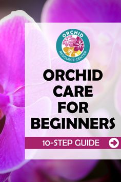 orchid care for beginners 10 - step guide