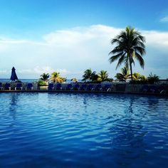 an empty swimming pool with palm trees and blue skies in the backgrouds