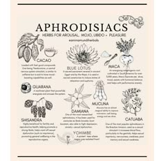 an illustrated poster with the words aphrodiacs and their corresponding names on it