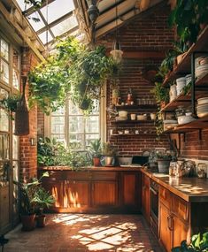 a kitchen filled with lots of potted plants