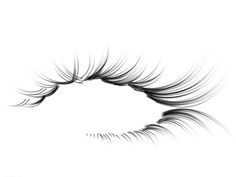 an eye with long eyelashes on white background