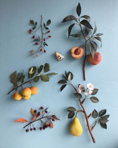 several different types of fruit and leaves on a blue wall, including pears, peaches, oranges, and pomegranates