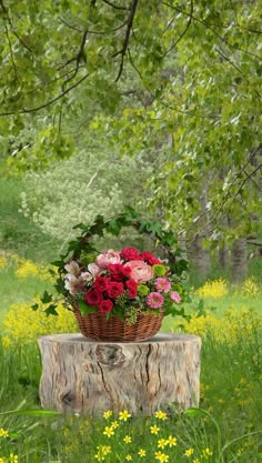 a basket filled with red and pink flowers sitting on top of a tree stump in a field