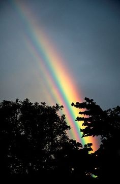 a rainbow shines brightly in the sky above trees