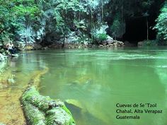 the water is very green and there are people in the cave behind it, with moss growing on the rocks