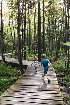 two children running across a wooden bridge in the woods