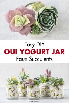 easy diy oui yogurt jar faux succulents with text overlay