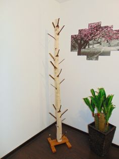 a tall white tree sitting next to a potted plant on top of a wooden floor