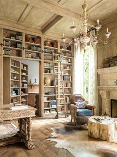 a living room filled with furniture and a fire place in front of a book shelf