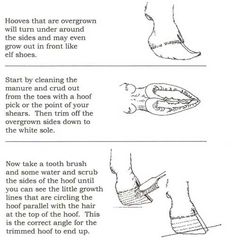 instructions on how to use foot scrubs for feet and ankles, with pictures showing the procedure