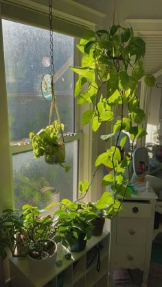 some plants are hanging from a window sill