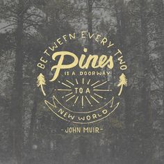 the words between every two pines is a doorway to a new world