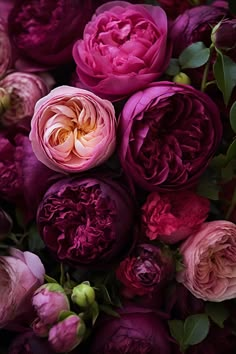 a bunch of pink flowers with green leaves