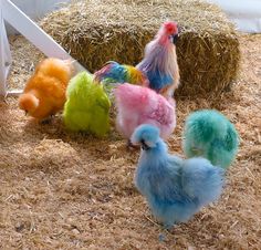 four colorful chickens standing in hay next to bales of hay