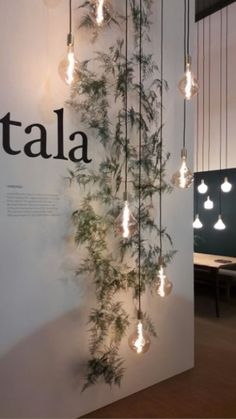 an exhibit with plants and lights hanging from it's sides, in front of a white wall