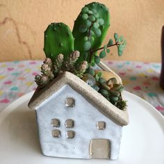 a house shaped planter with succulents in it on a white plate