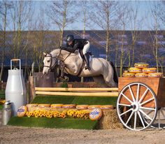 a horse and rider jumping over an obstacle