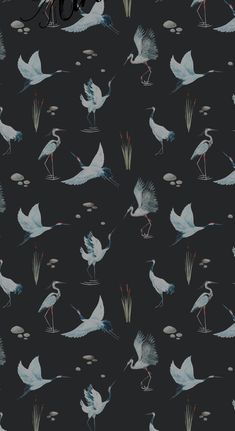 a black background with white birds and water lilies