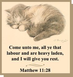 a drawing of a cat sleeping on top of a white sheet with the words, come unto me, all ye that labor and are heavy laden