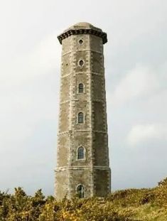 a tall tower sitting on top of a grass covered hill next to trees and bushes