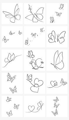 the different types of butterflies that can be seen in this drawing lesson, which shows how to