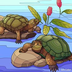 two turtles sitting on top of rocks in the water with plants growing out of them