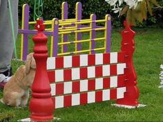 an orange and white cat playing with a red and white checkered fence in the grass