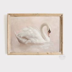 a painting of a white swan floating on water in a gold frame with a light pink background