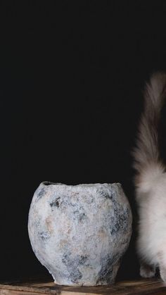 a cat standing next to a stone bowl on top of a wooden table in front of a black background