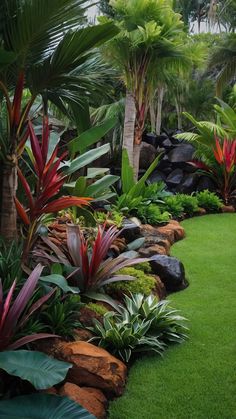 a lush green yard with lots of plants and rocks on the grass, surrounded by palm trees