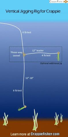 the vertical jigging rig for crappie is shown in this image, with an arrow pointing