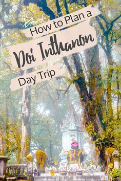 How to Plan a Doi Inthanon #National #Park Day #Trip Properly #shimonfly Park Day, Digital Nomad Life, Car Driver, Southeast Asia Travel, Camping Activities, Hiking Tips