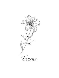 a black and white drawing of a flower with the word taurus written below it